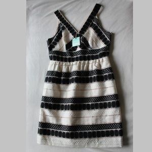 Cocktail Dress (NEW)